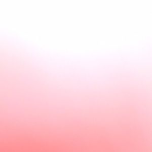 Meet your Posher, Bailey